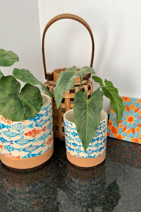 Casa Épica decoratie